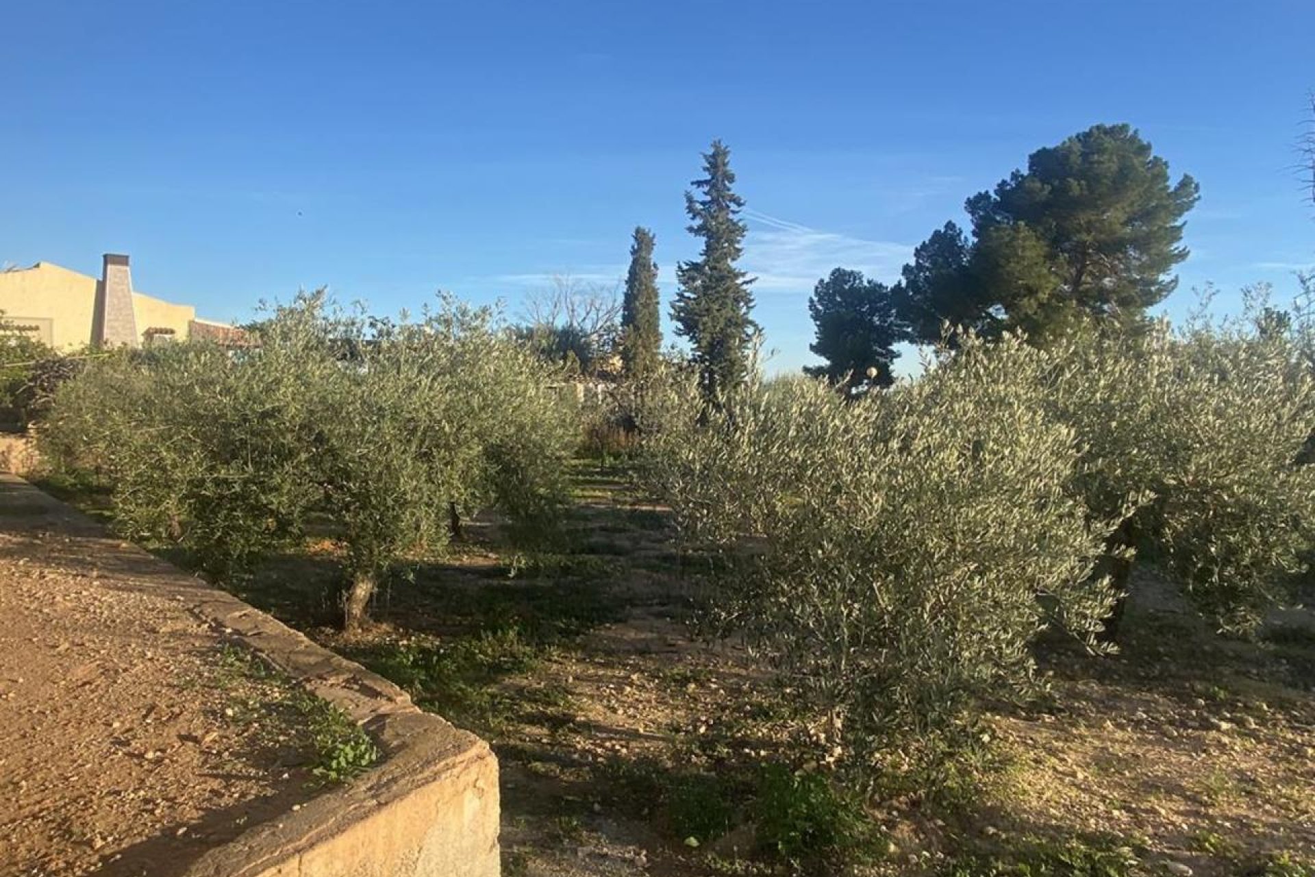 Resale - Villa - Gea Truyols - Gea y Trujols