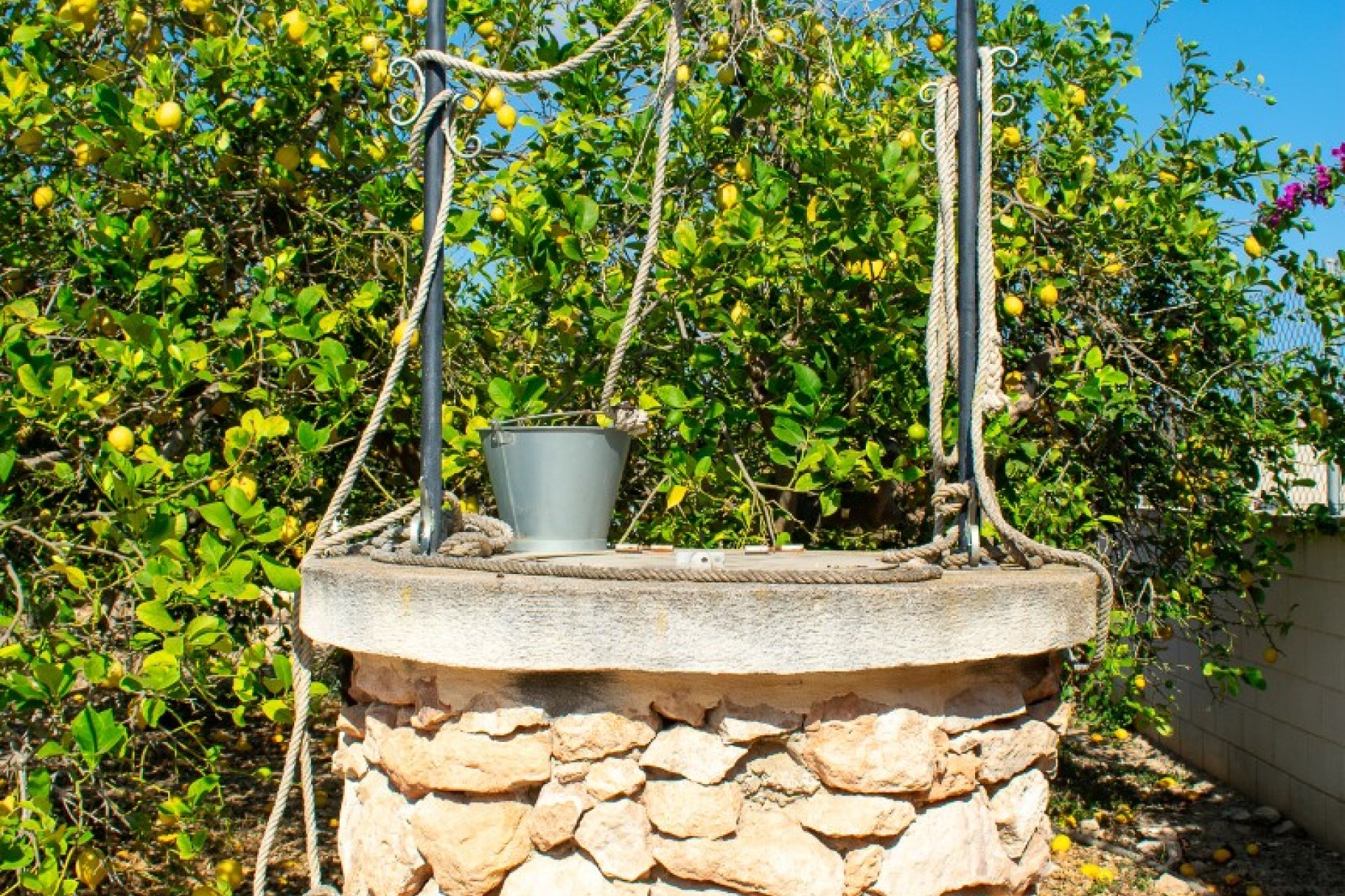 Resale - Villa - Guardamar del Segura - El Raso