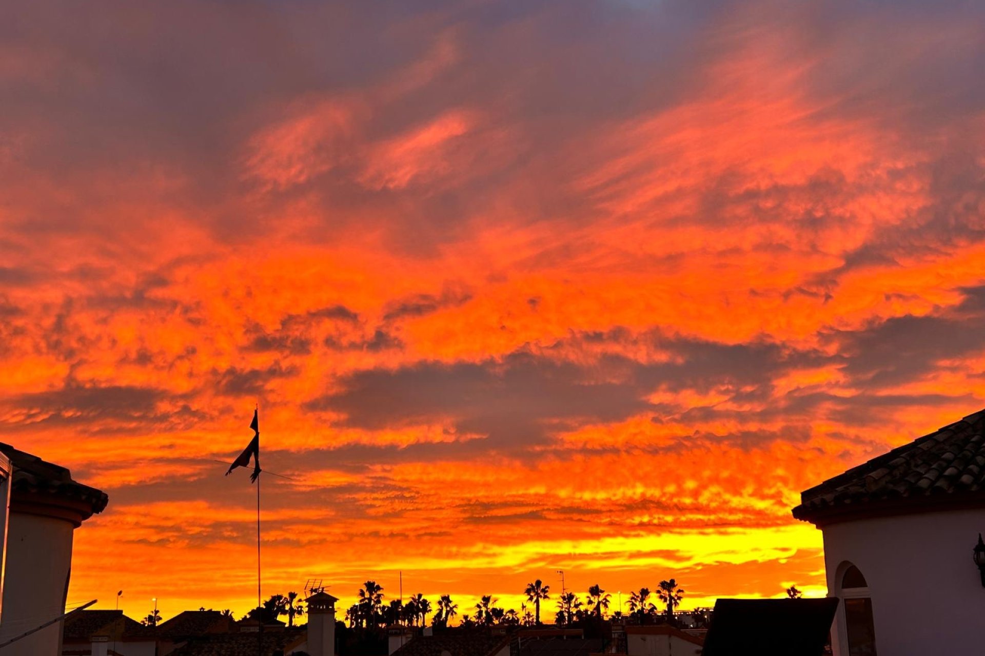 Resale - Villa - Guardamar del Segura - El Raso