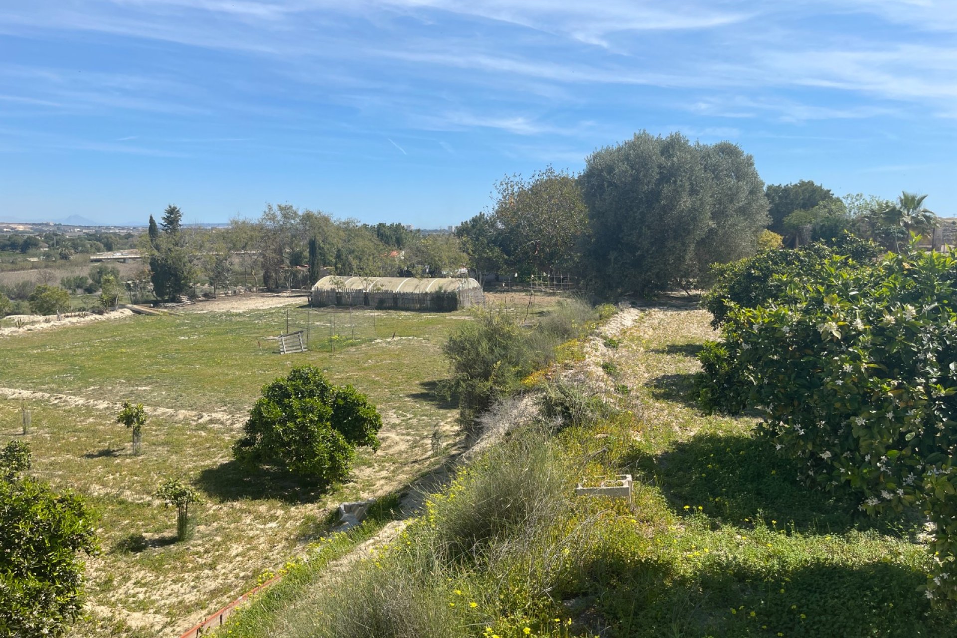 Resale - Villa - Guardamar del Segura - Valencia