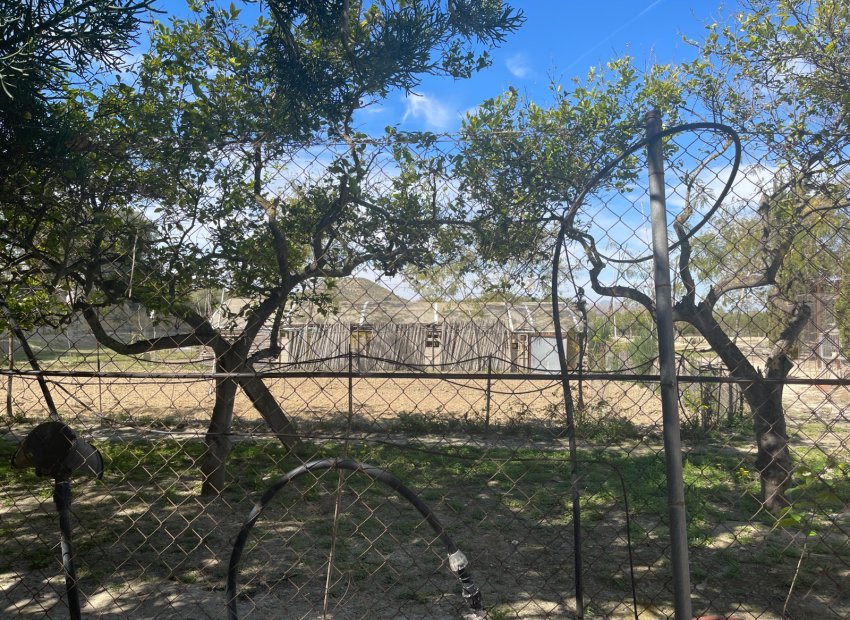 Resale - Villa - Guardamar del Segura - Valencia