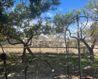 Resale - Villa - Guardamar del Segura - Valencia