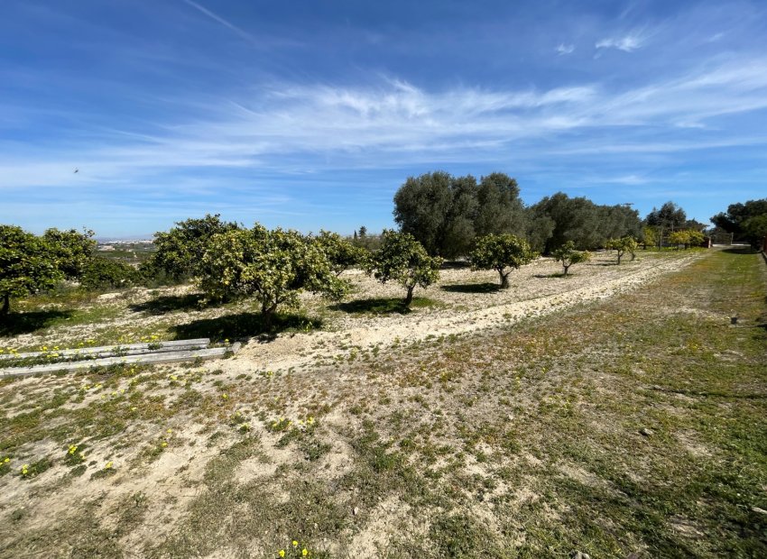 Resale - Villa - Guardamar del Segura - Valencia