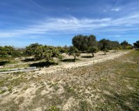 Resale - Villa - Guardamar del Segura - Valencia