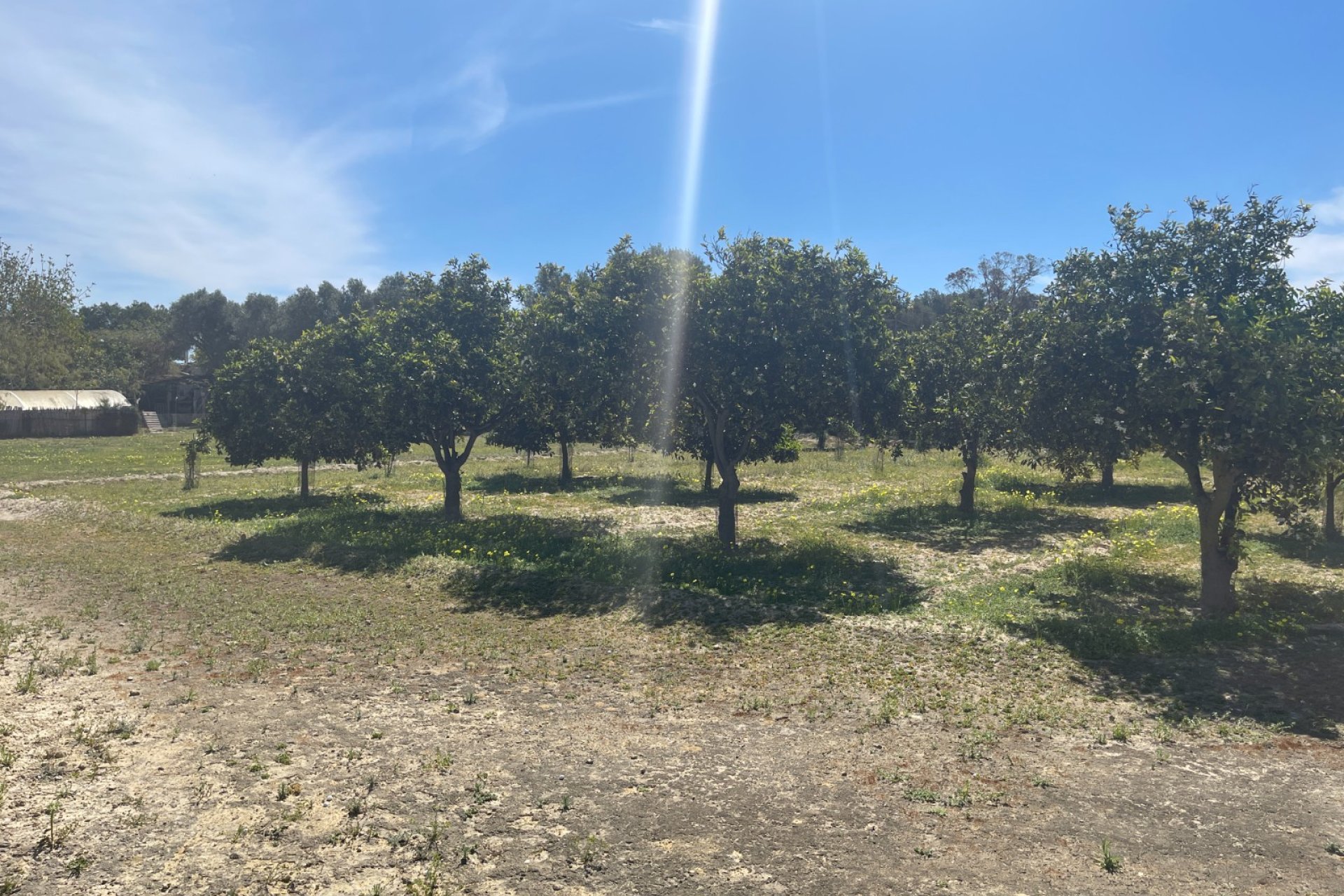 Resale - Villa - Guardamar del Segura - Valencian Community