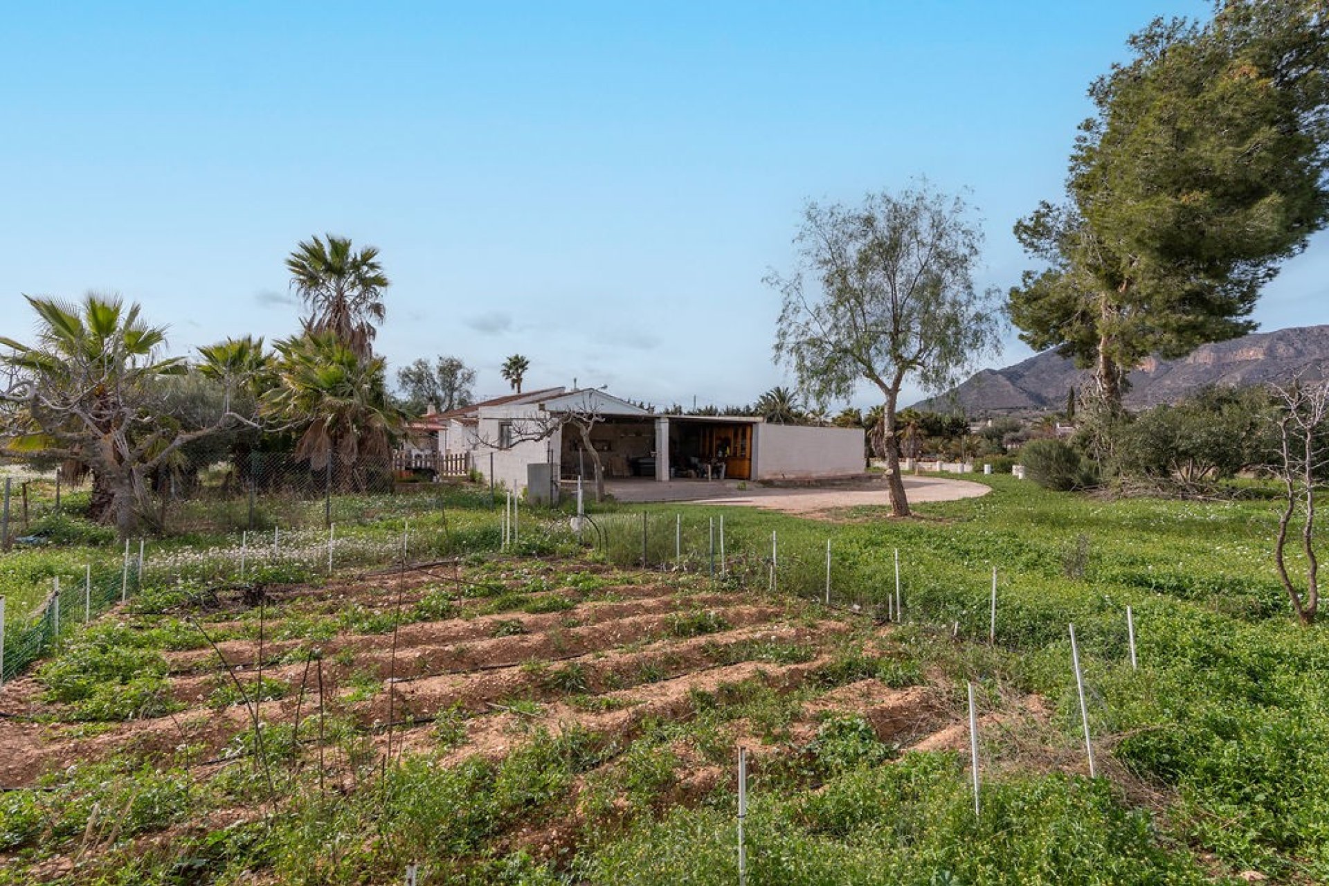 Resale - Villa - Hondón de las Nieves