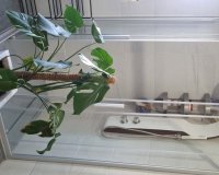 Resale - Villa - Hondón de los Fráiles