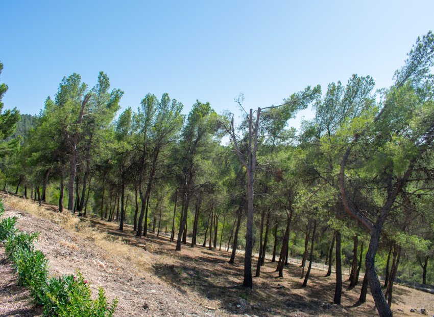 Resale - Villa - Ibi