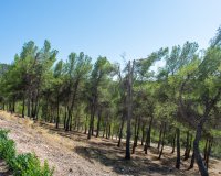 Resale - Villa - Ibi