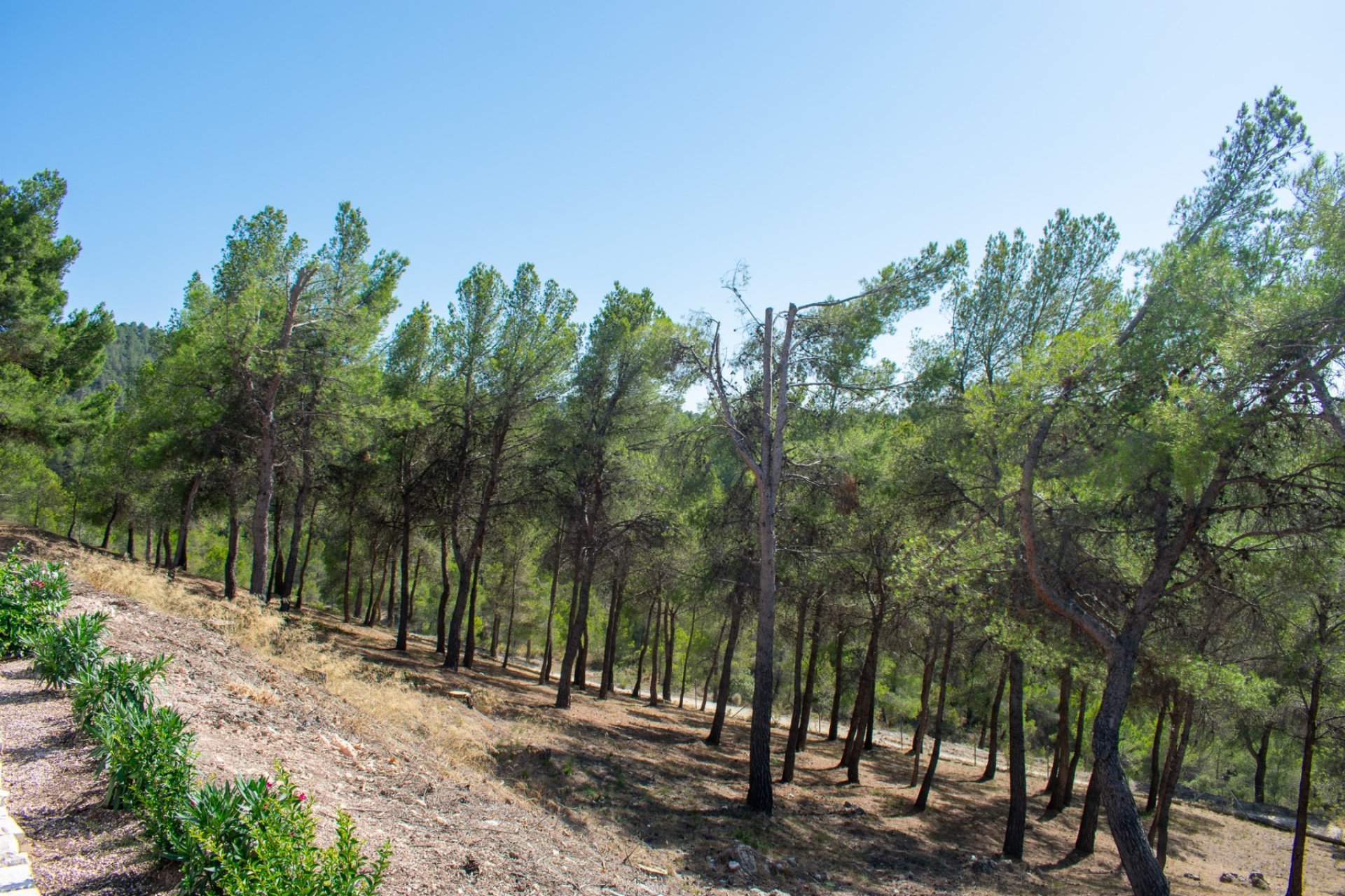 Resale - Villa - Ibi