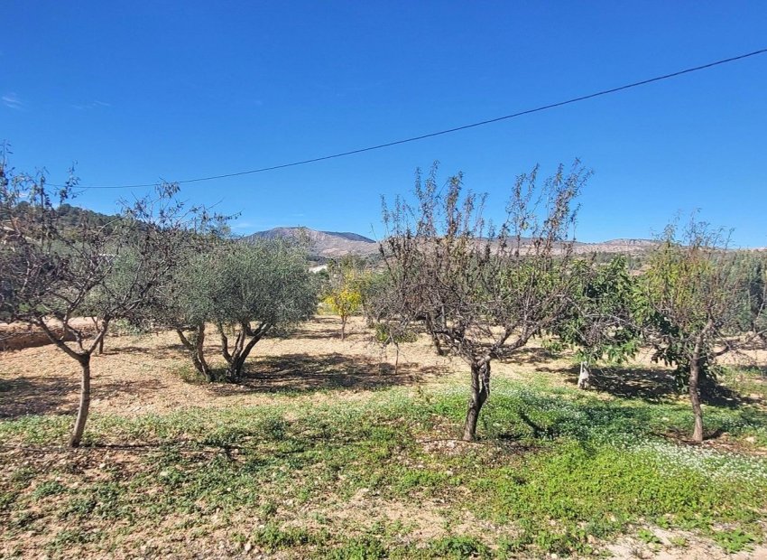 Resale - Villa - La Romana