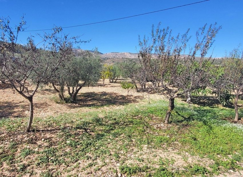 Resale - Villa - La Romana