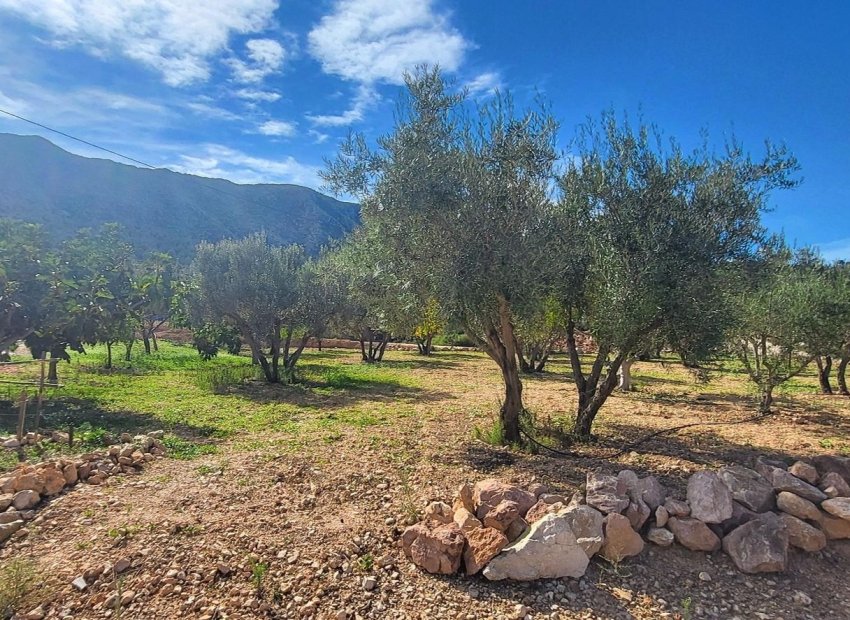 Resale - Villa - La Romana