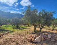 Resale - Villa - La Romana