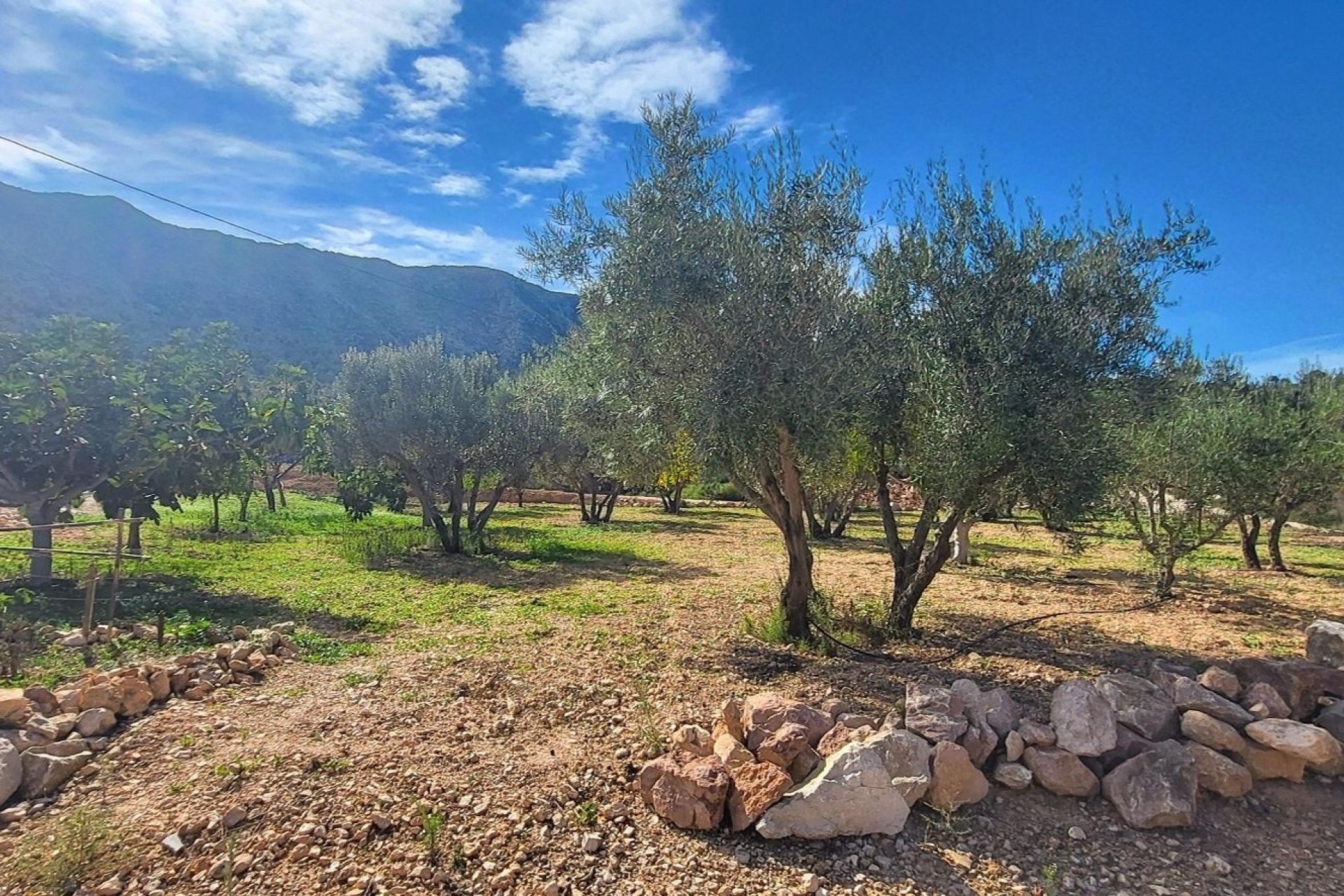 Resale - Villa - La Romana