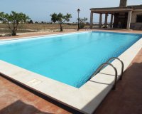 Resale - Villa - Los Montesinos - La Herrada