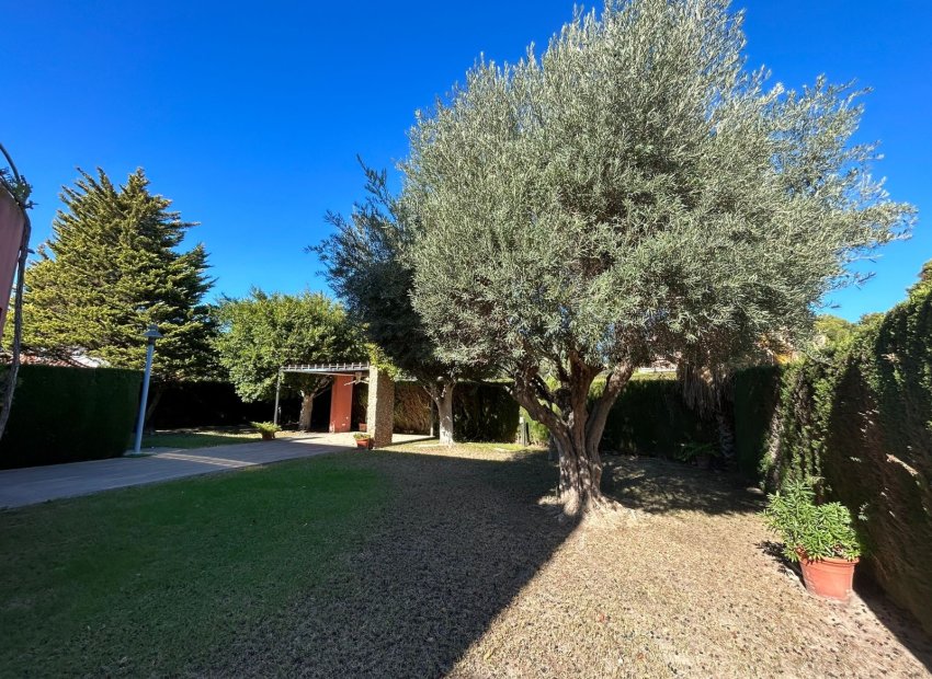 Resale - Villa - Orihuela Costa - Dehesa de campoamor