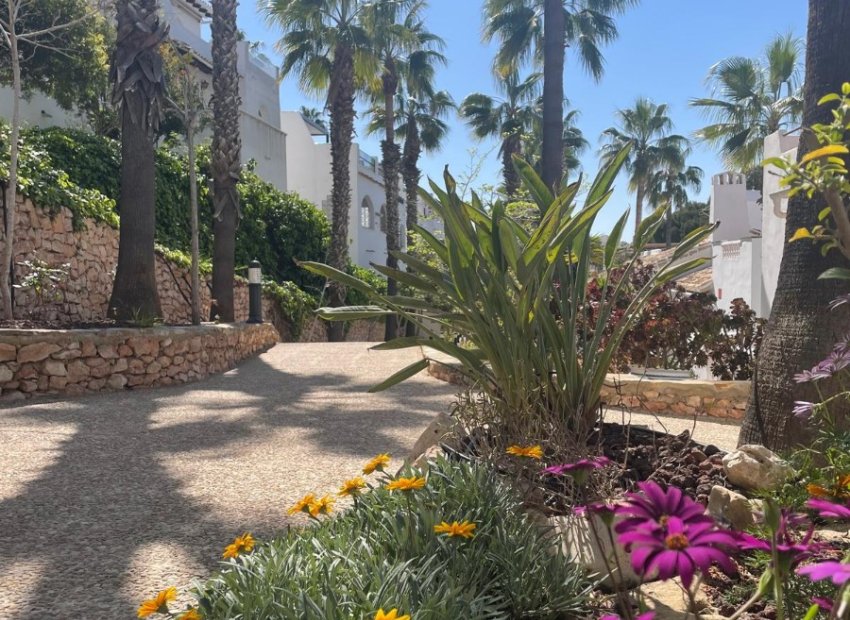 Resale - Villa - Orihuela Costa - Los Dolses