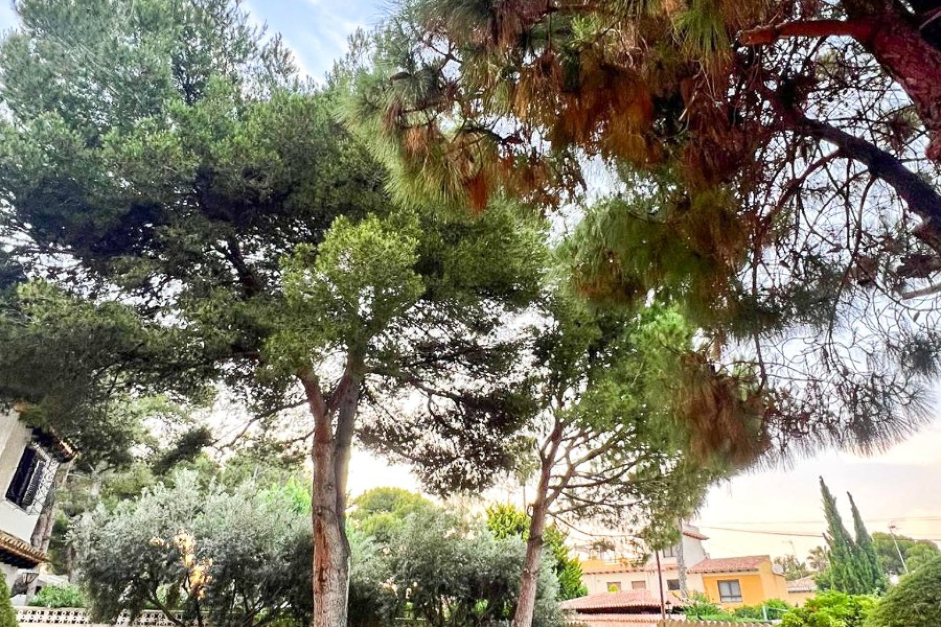 Resale - Villa - Orihuela Costa - Punta Prima