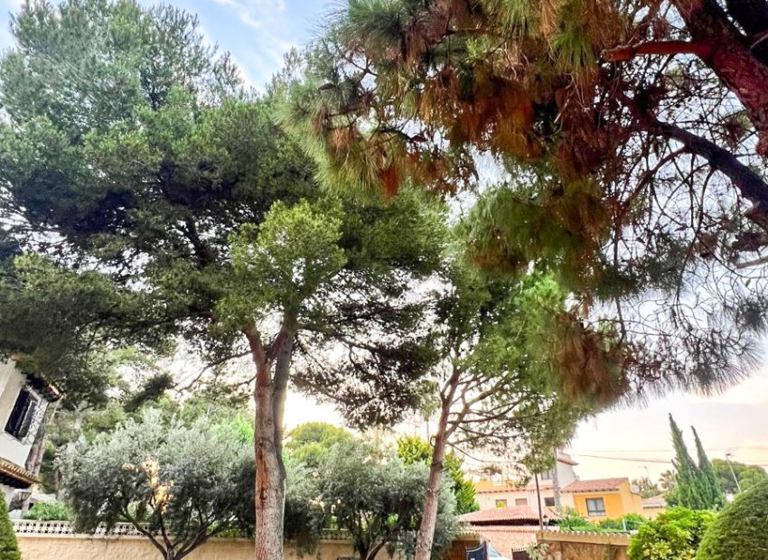 Resale - Villa - Orihuela Costa - Punta Prima