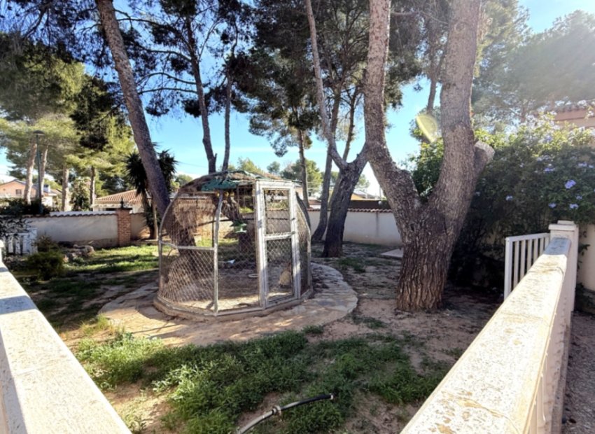 Resale - Villa - Pilar de la Horadada - Costa Blanca