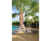 Resale - Villa - Rojales - Ciudad Quesada