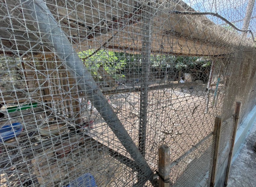 Resale - Villa - San Fulgencio - La Marina