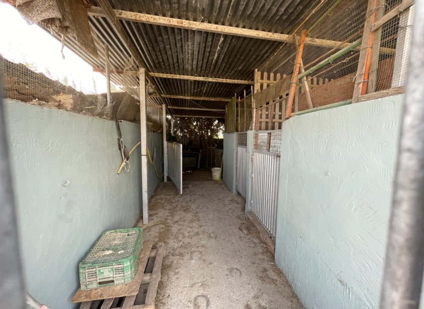 Resale - Villa - San Fulgencio - La Marina