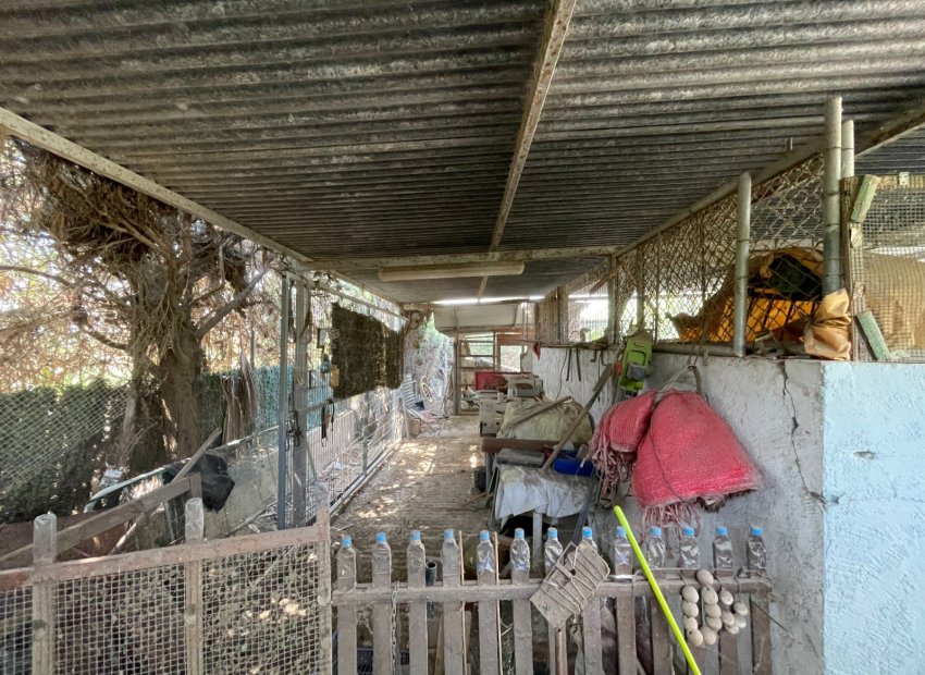 Resale - Villa - San Fulgencio - La Marina