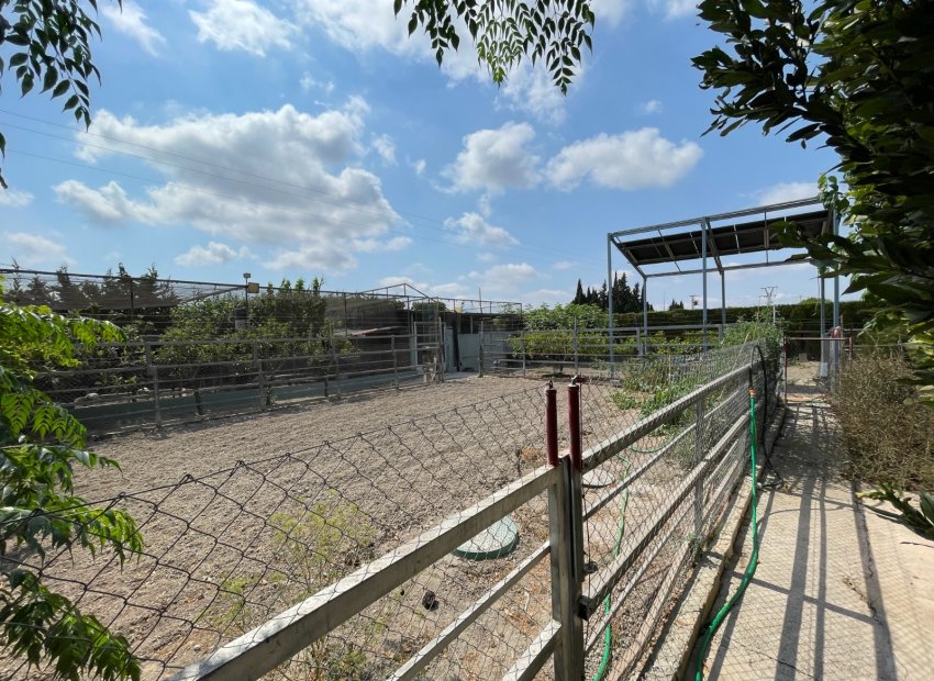 Resale - Villa - San Fulgencio - La Marina