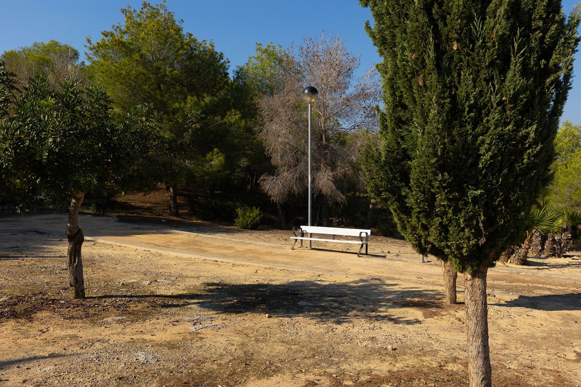 Resale - Villa - San Miguel de Salinas - Mirador De San Miguel