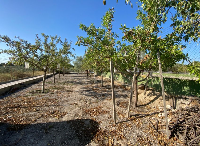 Resale - Villa - Sax