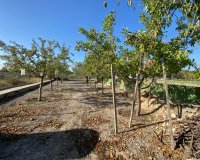 Resale - Villa - Sax