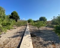 Resale - Villa - Sax