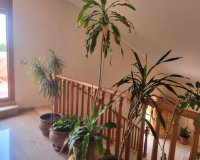 Resale - Villa - Torrevieia - Aguas Nuevas