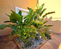 Resale - Villa - Torrevieia - Cabo Cervera