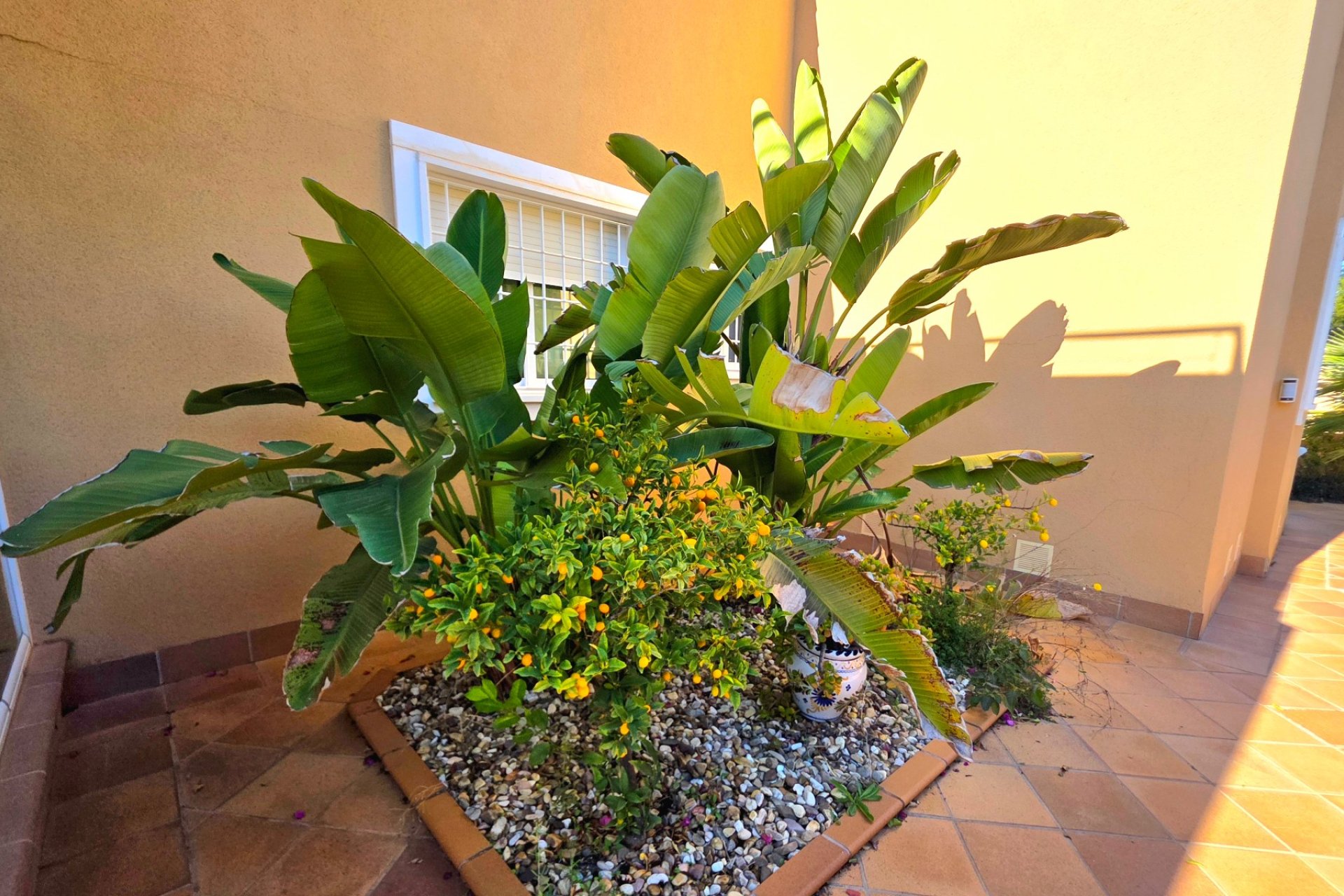 Resale - Villa - Torrevieia - Cabo Cervera