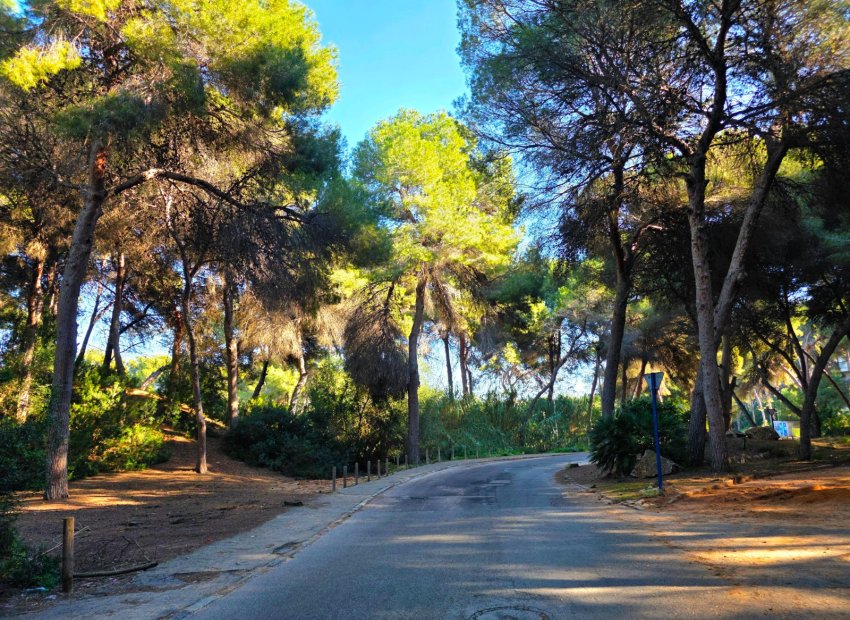 Resale - Villa - Torrevieia - Cabo Cervera