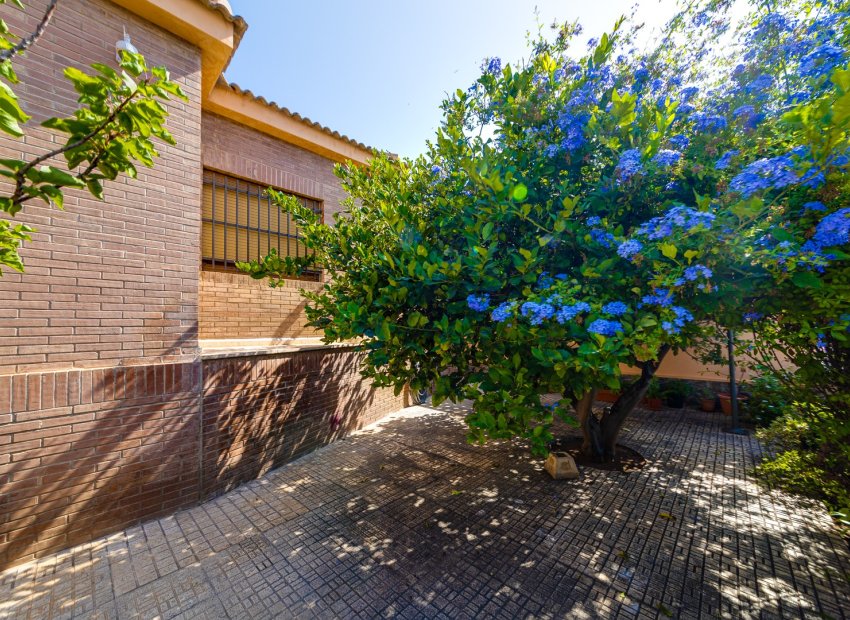 Resale - Villa - Torrevieia - La Mata