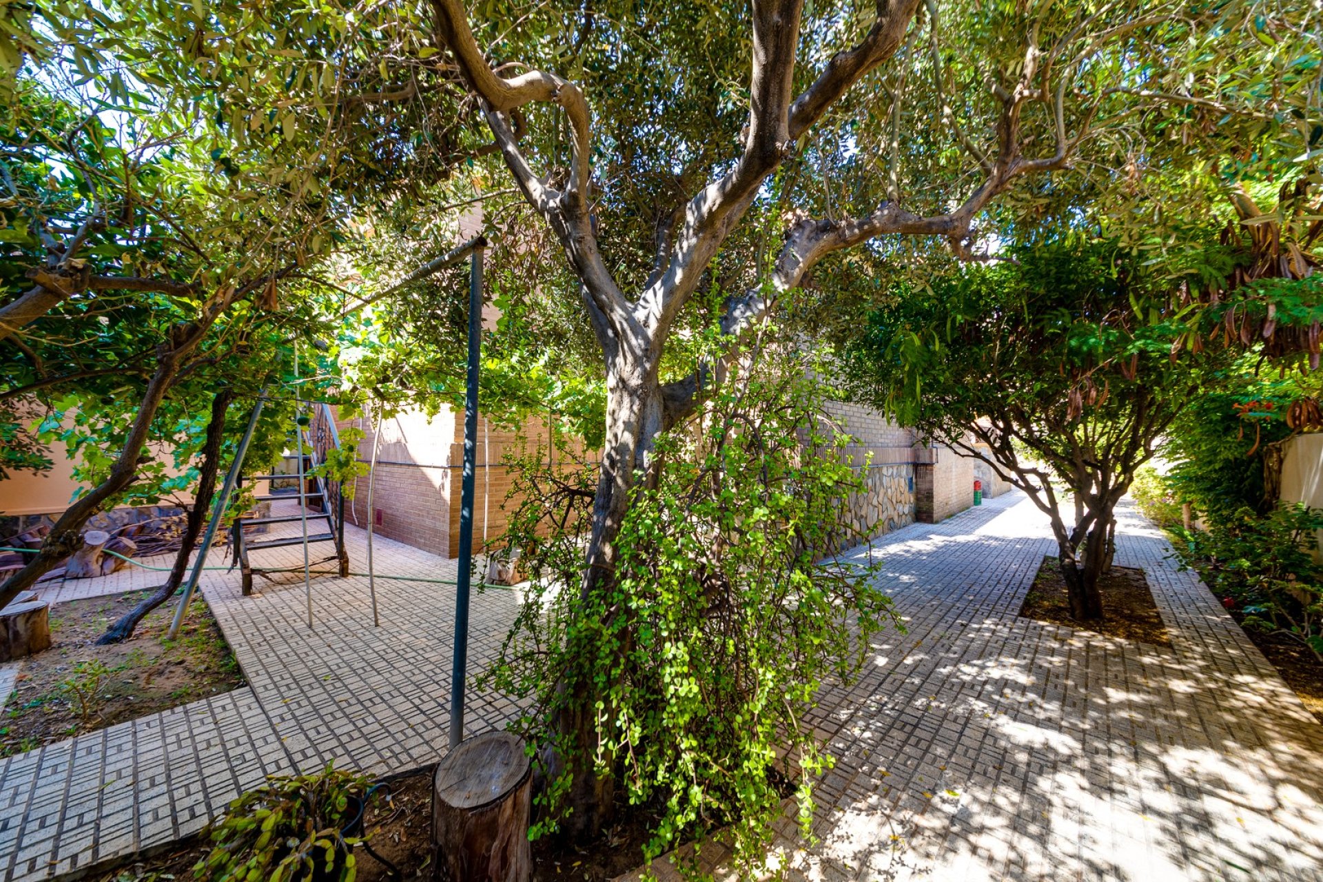 Resale - Villa - Torrevieia - La Mata