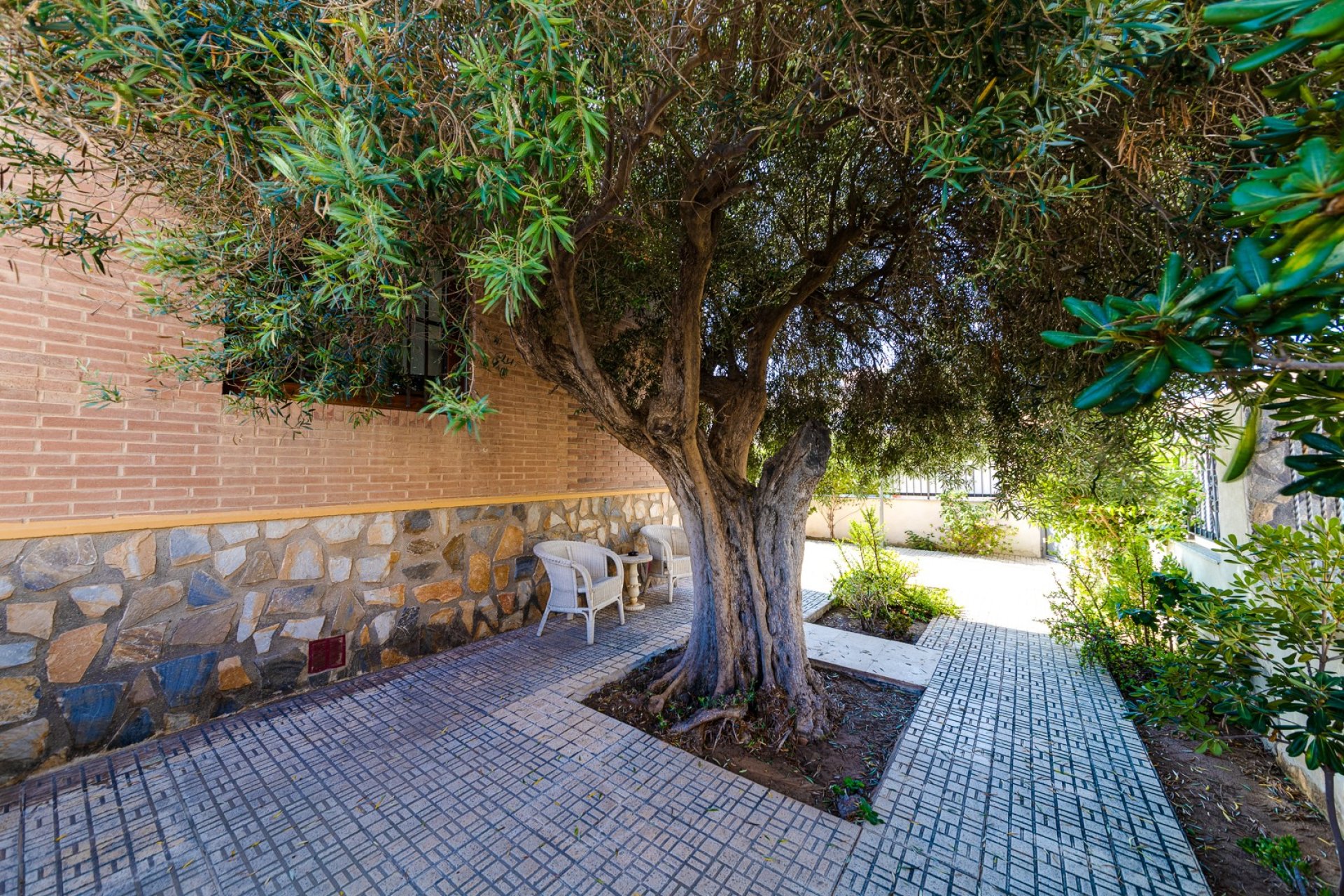 Resale - Villa - Torrevieia - La Mata