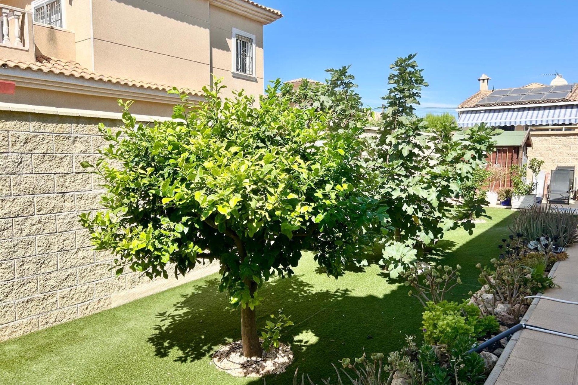 Resale - Villa - Torrevieia - La Siesta