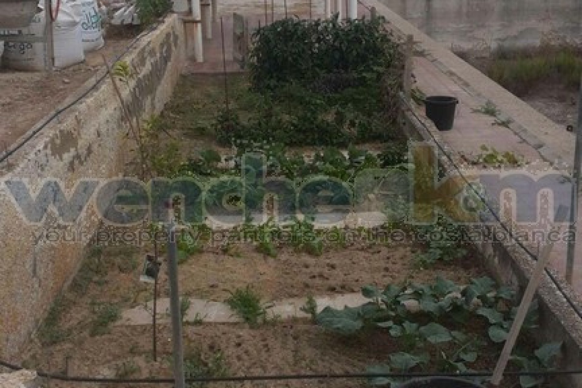 Resale - Villa - Torrevieia - Los Balcones