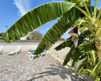 Resale - Villa - Torrevieia - Los Balcones