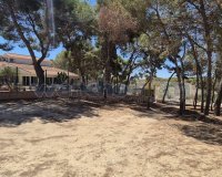 Resale - Villa - Torrevieia - Los Balcones