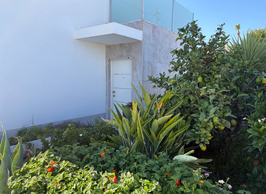 Resale - Villa - Torrevieia - Torreta - Florida
