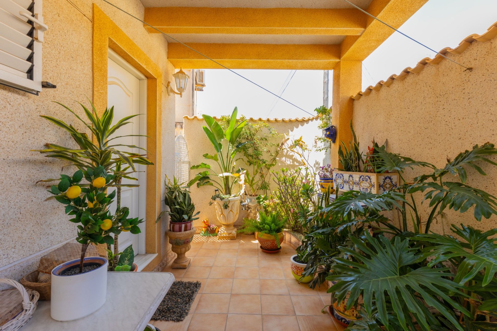Resale - Villa - Torrevieia - Zona los Frutales
