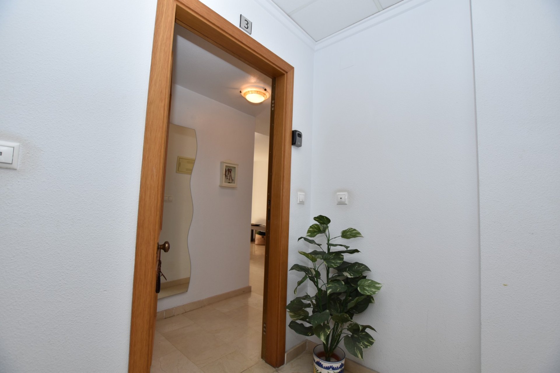 Reventa - Apartamento / piso - Algorfa