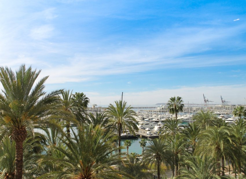 Reventa - Apartamento / piso - Alicante - Center