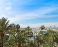 Reventa - Apartamento / piso - Alicante - Center